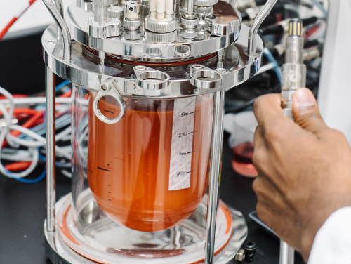 scientist working in the innovation lab